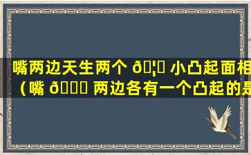 嘴两边天生两个 🦉 小凸起面相（嘴 🐟 两边各有一个凸起的是什么）